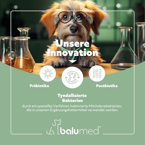 balumed® Snacks Haut+Fell hochkonzentriert mit Hyaluronsäure für Hund, Leckerli mit Präbiotika, Postbiotika, Bierhefe, Zink & Omega-3, Kamillenblüten, Vitamine B1 + E, Beta-Carotin, 325 g