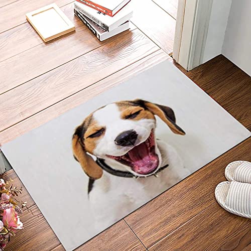  Tappeto Bagno 50x80 cm,Tappetino Antiscivolo per Il Bagno,Cane Adorabile Segugio Beagle Cucciolo Pedigree Animali Giovani Cuccio,Soffice Tappeto da Bagno in Microfibra,Assorbente,Lavabile in Lavatrice