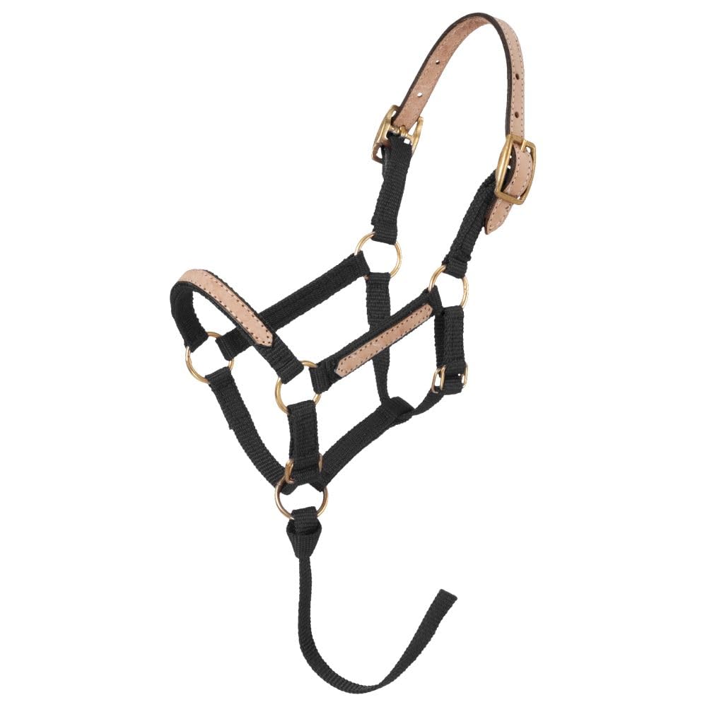 Tough 1 Miniature Nylon Break-Away Halter