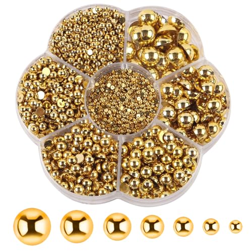 TerraShine ~p[ 3100 p[ Xg[ p[ XJ{V n[tEhp [r[Y p[ ^  lCA[g gѓdb WG[ fR[V DIY ANZT[p[c pi hX lCA