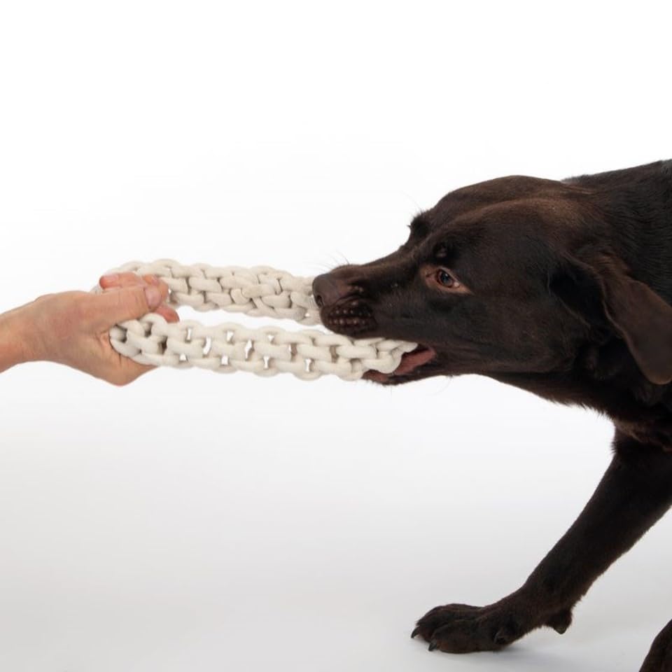 Image of Attractive Dog Toys for Large Dogs & Accessories Toy for Puppies, Pets, Puppy, Medium & Adults, chew Rope Small pups for Playing & Chewing for Labrador (Two Rings) Color May Vary
