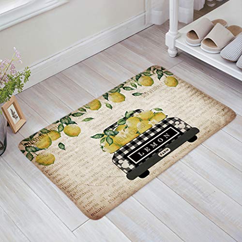 Sponge Indoor Doormat Decor Carpet for Entrance Living Room Bedroom Kitchen, Vintage Newspaper Truck Loads Fresh Farm Lemons, Rubber Back Non Slip Welcome Mat Entry Rug 16 x24