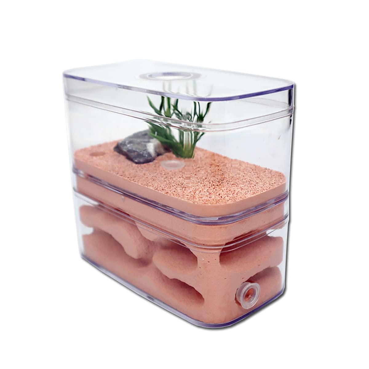 Ant Nid de fourmis en plâtre Formicarium Habitat pour animaux domestiques Château d'insectes avec zone d'alimentation