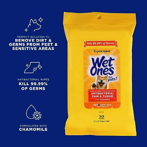 Image of Wet Ones Mixed 18 Piece Bundle of Human & Pet Wet Wipes, Tropical Splash Scent| 10 Packs Antibacterial Wipes, 20 Ct Plus 8 Packs for Pets Paw & Tushie Dog Wipes, 30ct