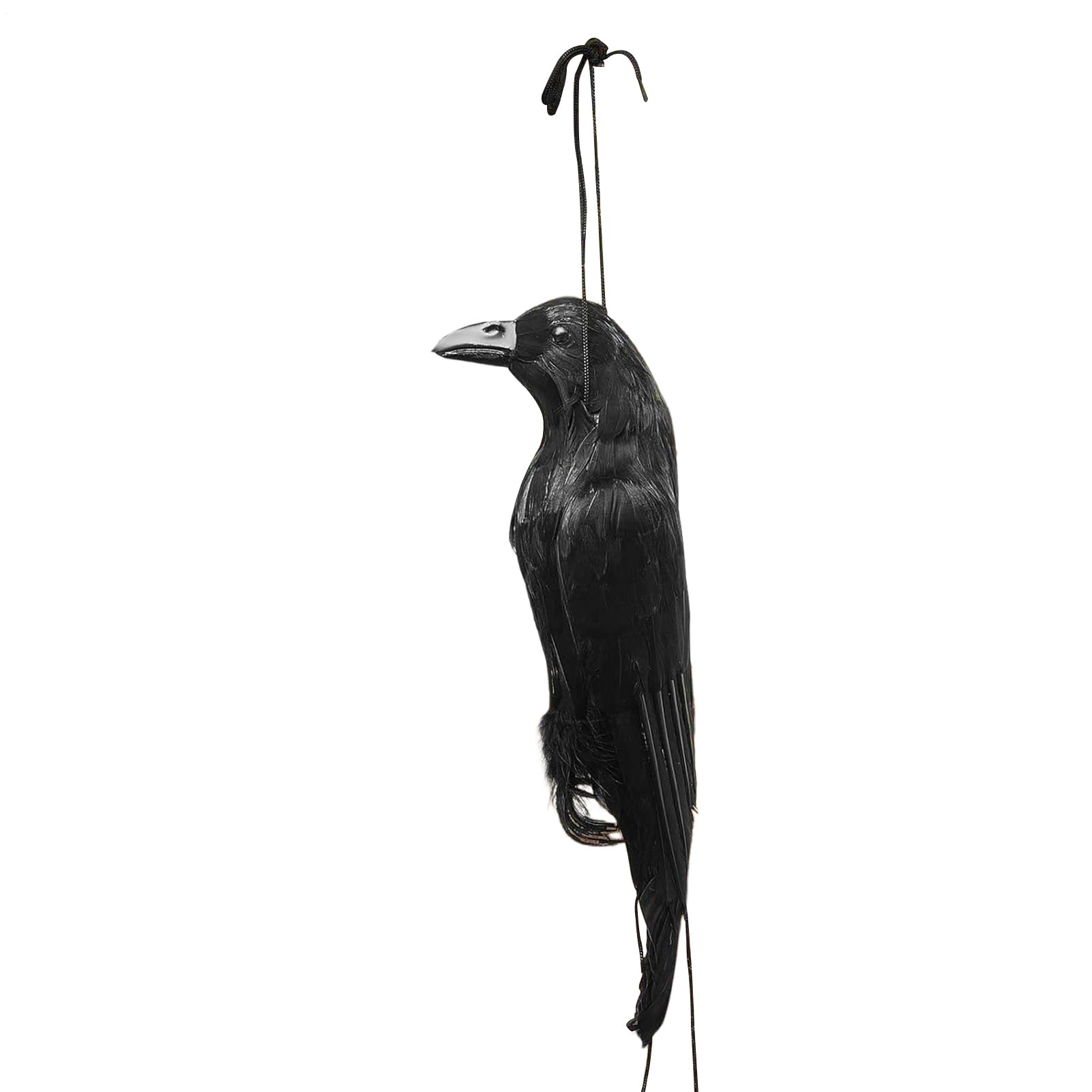 Figurine épouvantail corbeau réaliste pour éloigner les pigeons du porche