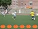 [ 100 Pack ] Disc Cones Agility Soccer Cones with Holder for Training, Football, Kids, Sports, Field Cone Markers,Soccer disc Cones (100)