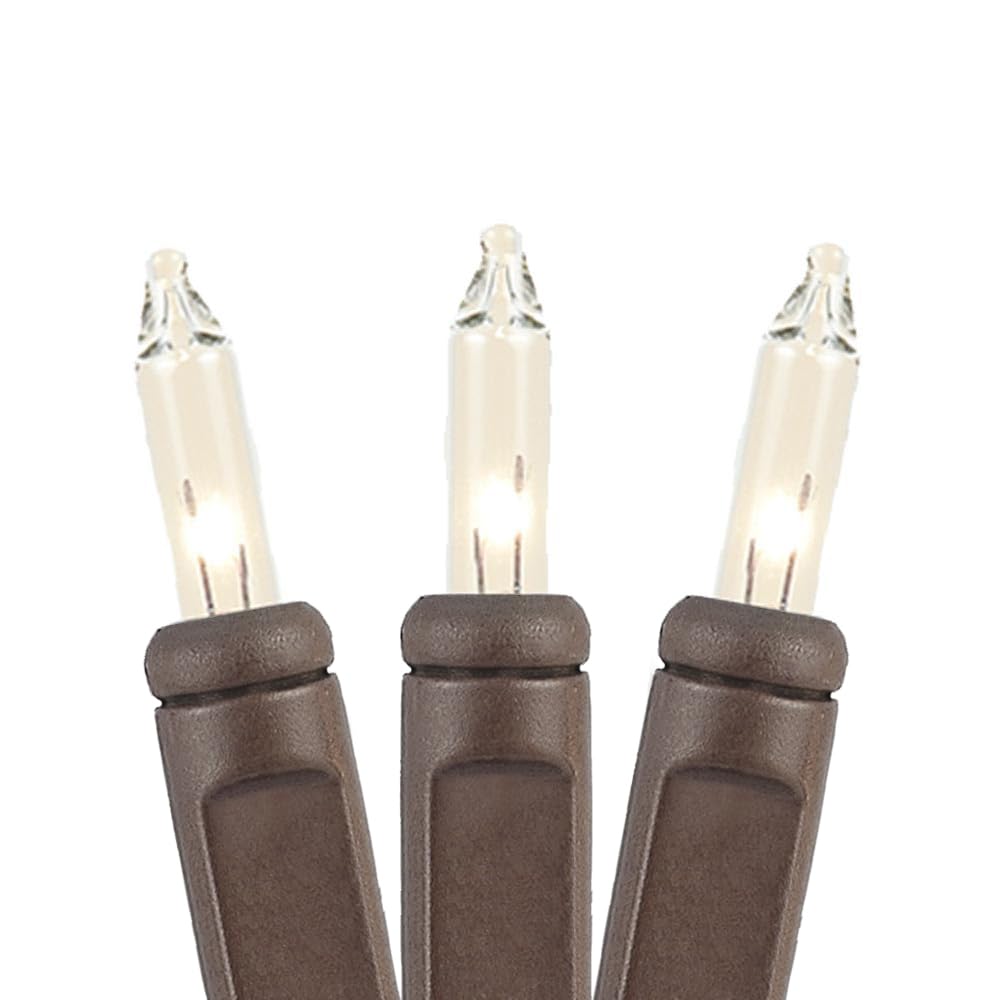 EPHIIONIY - Set di 100 mini luci natalizie, filo marrone, 50 luci lunghe, incolore