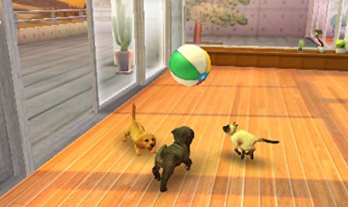 Nintendo gs + Cats Golden Retriever & seine neuen Freunde - Nintendo Selects
