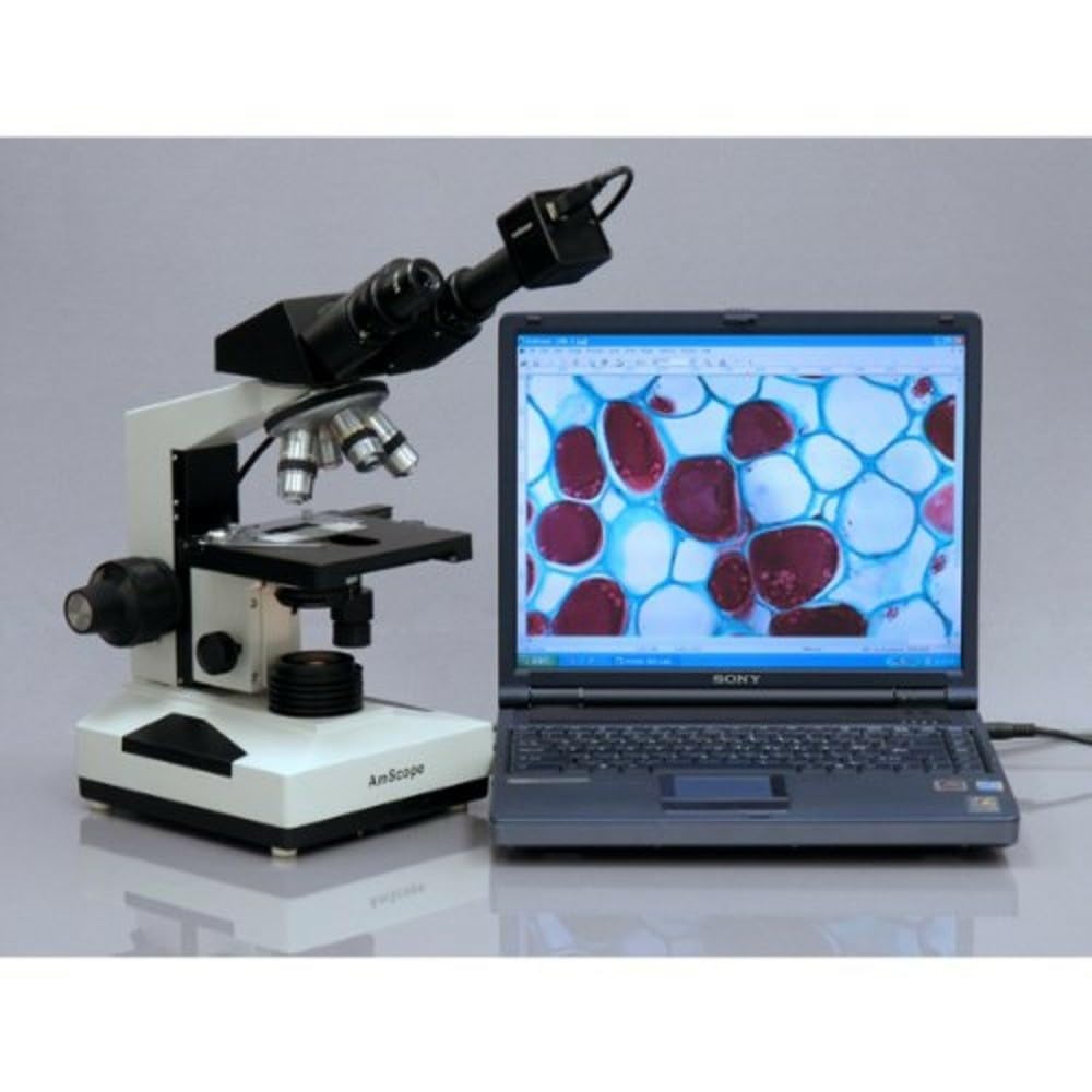 AmScope B490B 40X-2000X Microscopio composito binoculare