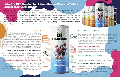 Image of RTB KOMBUCHA Combo of 2-250ml Each (Mango & Orange) Helps in Immune System & Digestive System(Kombucha Culture, Fruit Pulp & Organic Sugar)