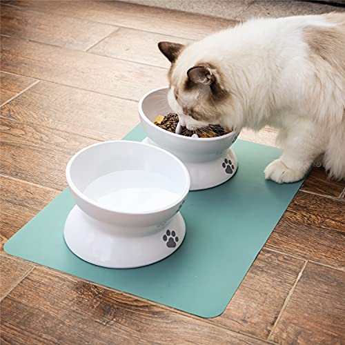 7 Best Slow Feeder Cat Bowls to Slow Down Eating (2022 Review)
