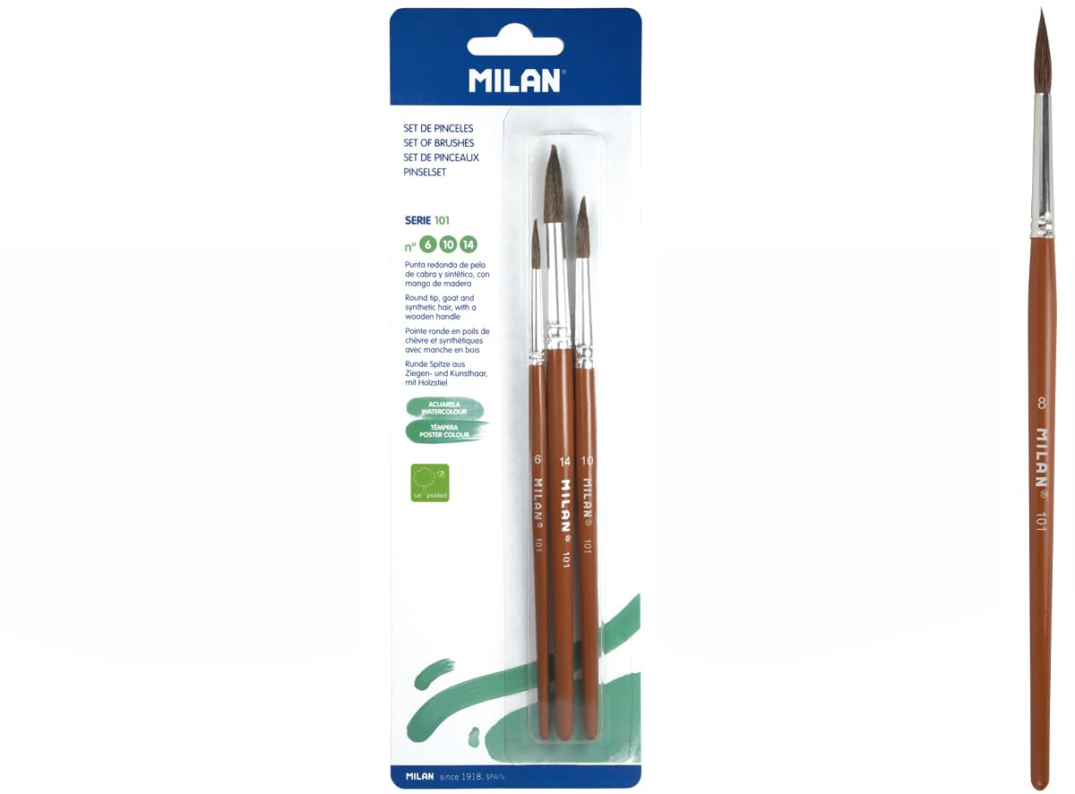 Blister Pack of 3 Round Brushes (Goat Hair and Plastic) Series 101 No. 6, 10 and 14