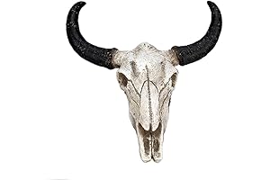 1Pcs Resin Wall Hanging Horn Skulls Steer Bull Head Sculpture