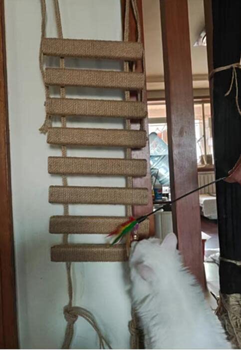 Ponte Per Gatti Da Parete In Legno E Sisal - 90 Cm, Con Rampa Per Arrampicata - Risparmia Spazio - Foto 4