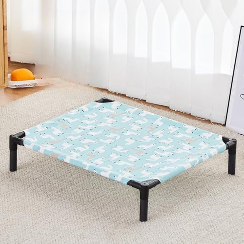 Tuyiutm pxbh łjȂ ^ ϊ jȂ rtRbg^ S˃xbh  xbh bV Ђ pxbh v ʋCD Op hbORbg  Lv gтɕ֗  Rbg dog bed ʔN 