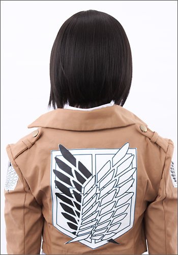 Amazon.co.jp: 進撃の巨人 ミカサ アッカーマン 風 ウィッグ キャラ