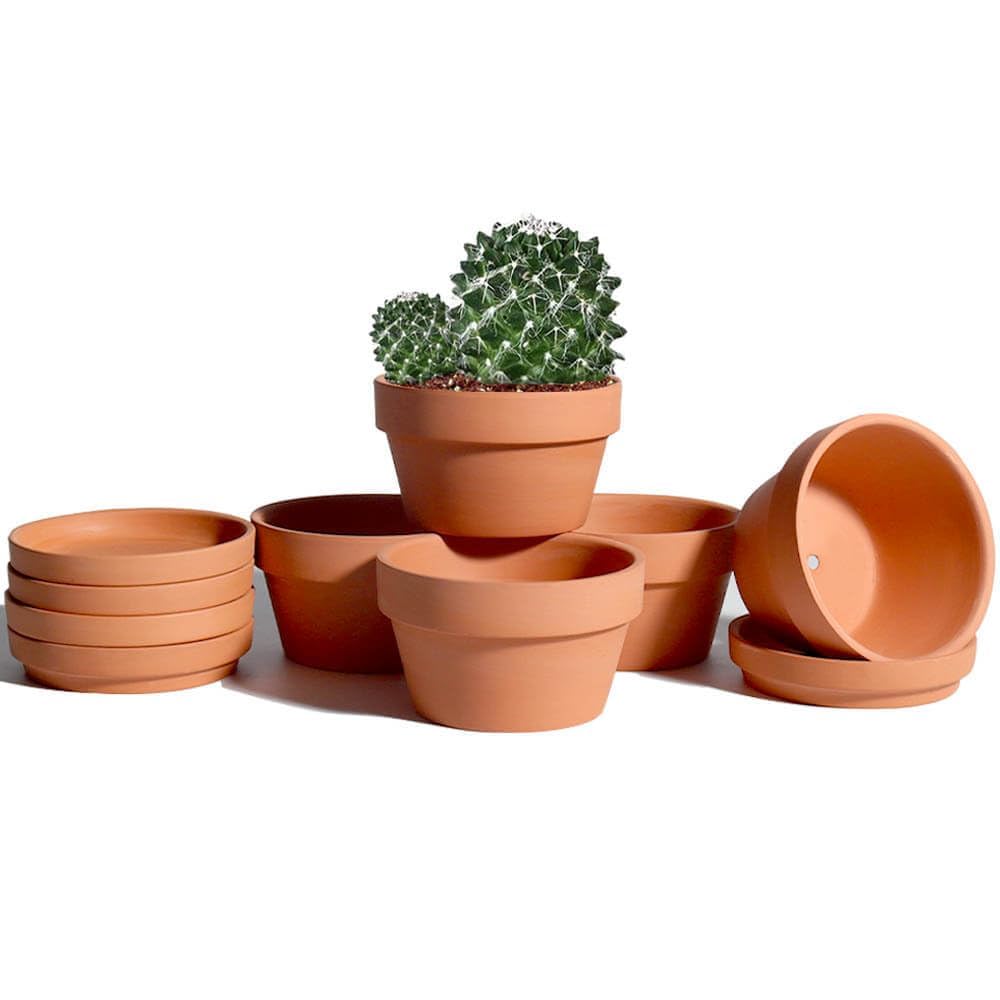 vensovo 5.7 Inch Terracotta Shallow Succulent Pot - 6 Pack Terra Cotta Clay Pots with Saucer, Cacuts Terra-Cotta Indoor and Outdoor Planters with Drainage Hole