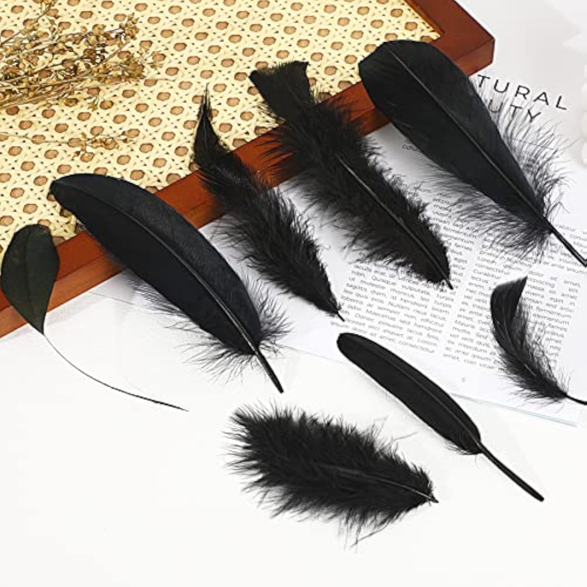 320 Pcs Mixed Natural Feathers for Craft Making