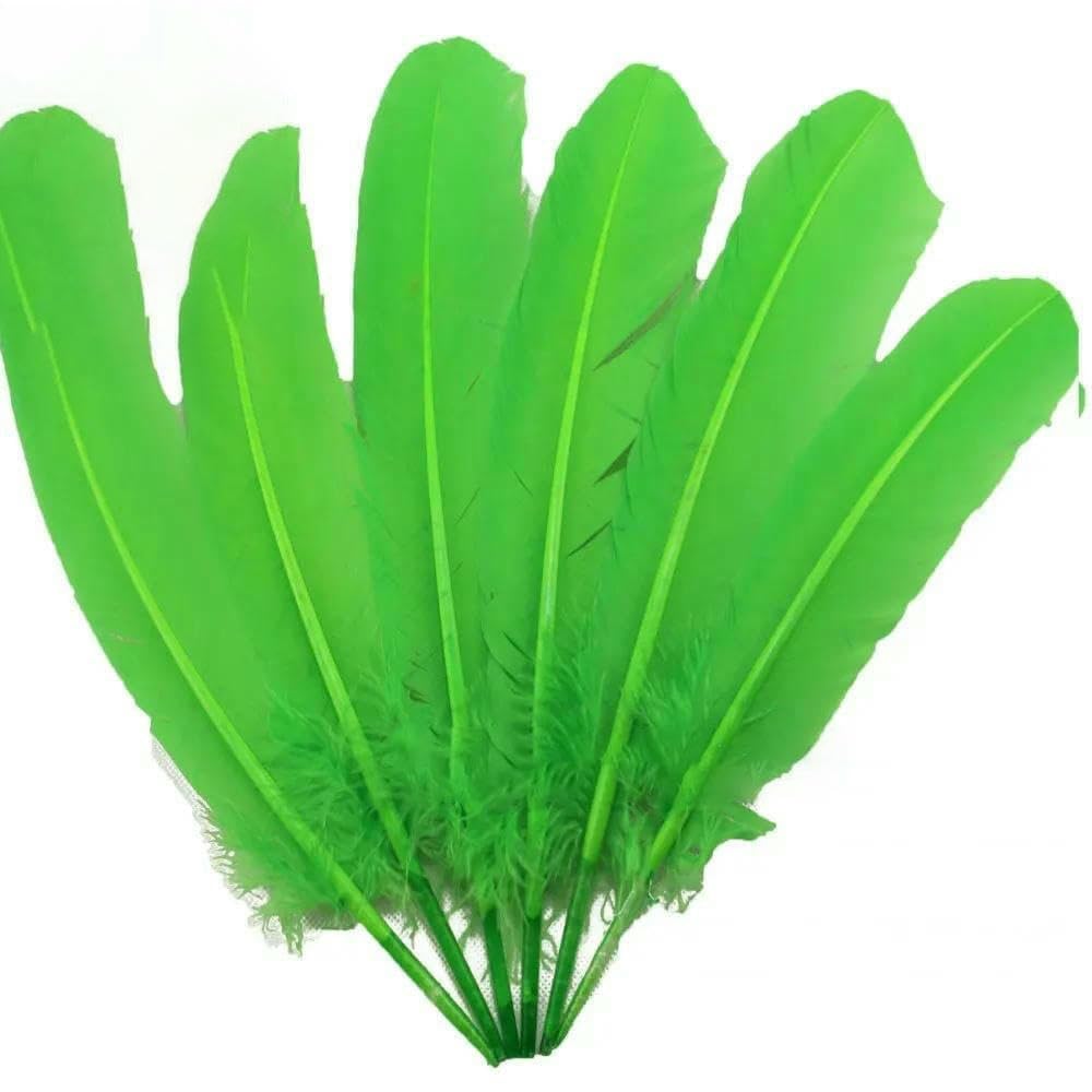 Plumes de faisan de carnaval pour carnaval, piquants de dinde, carnaval, coiffe, carnaval, aile, 28-33 cm, 11-13 pouces, 10-100 pièces - Vert fruit - 10 pièces