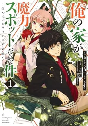 俺の家が魔力スポットだった件 全1-17巻セット 俺の家が魔力スポットだった件~住んでいるだけで世界最強~ 1 | chippi
