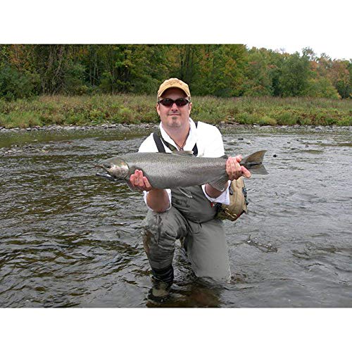 Coyote Eyewear BP-7 Polarized Reader Sunglasses2