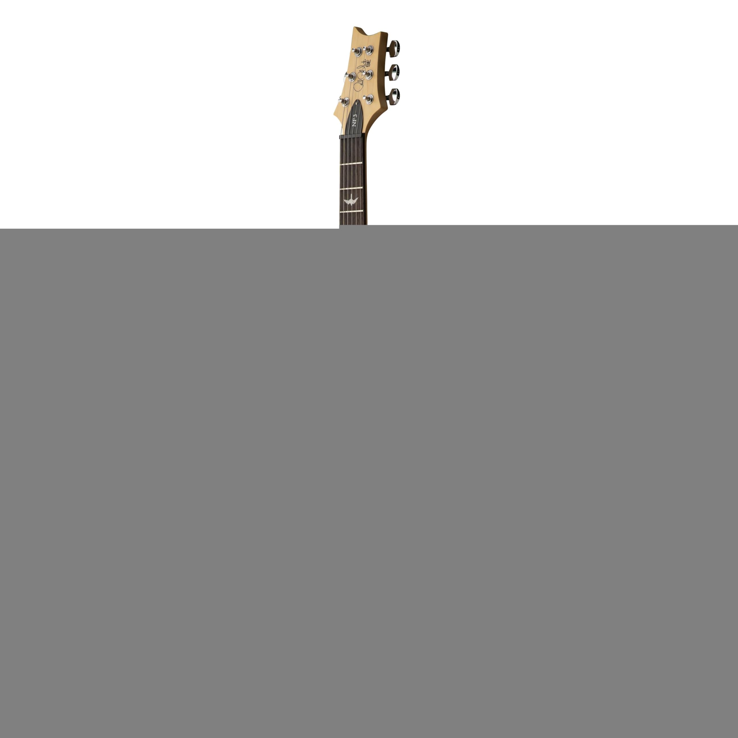 Amazon | PRS SE NF3 Rosewood Ice Blue Metallic エレキギター ポール