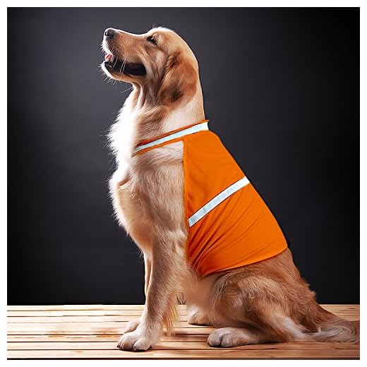 VIZPET Dog Reflective High Visibility Safety Vest for Outdoor Activity Day and Night, Keep Your Dog Visible and Safe (Green, Large)