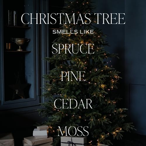 Image of Sweet Water Decor Christmas Tree Reed Diffuser Set - Spruce, Pine Needles, Cedar, and Moss Scented Diffusers - Scent Diffusers for Home, Long Lasting Fragrance, Made in the USA