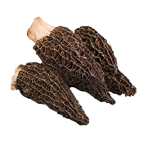 dried morel mushrooms