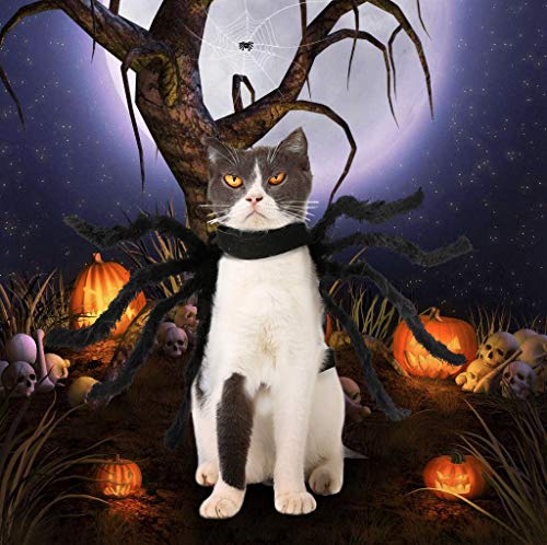 Idepet Pet Dog Halloween Spider Costume 8 Spider Wing Cosplay Clothes For Small Medium Dogs Puppy Cat Kitten Outfits Dress Up Party Hoilday Costume Decoration Hair Accessories thumb #2