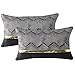 Artscope 2er Set Kissenbezug für Sofa Auto Schlafzimmer Luxuriöser Moderne Minimalist Goldenen Ledernähten Wellenstreifen Dekokissen Kissenhülle Kissen Fall 30x50cm (Schwarz)