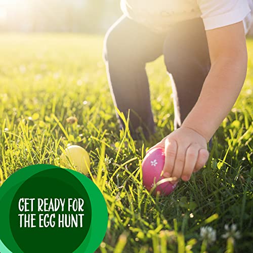 Jolly Rancher Jelly Beans Original Flavors Candy, 2 Pound Bag #TOP3