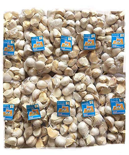 Xɂɂ o10 召 zCgZЎɂɂ p Y Ɩp ƒp