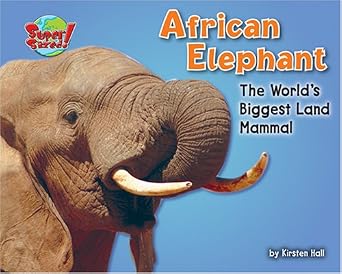 African Elephant: The World's Biggest Land Mammal : Buy Online at Best