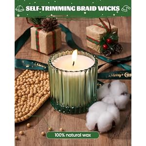 Msenseholidaypinescentedsoycandleschristmastreejarcandlewintercandlegiftsforhomedecorupto60hoursburningnaturalsoywaxrelaxingaromatherapycandle  Urban Country Home Decor Msense holiday pine scented soy candles christmas tree jar candle winter candle gifts for home decor up to 60 hours burning natural soy wax relaxing aromatherapy candle  urban country home decor