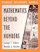 Mathematics Beyond the Numbers