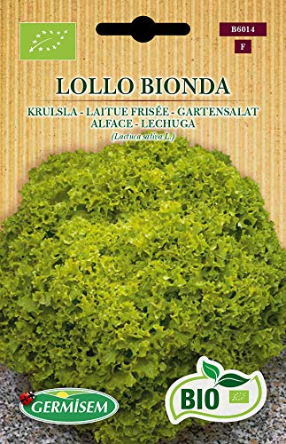 Germisem Bio Graines Laitue frisée LOLLO BIONDA
