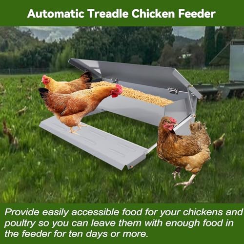 Mangiatoia automatica per pollame con funzionamento a pedale, design resistente alle intemperie e a prova di ratti, ideale per polli, anatre e tacchini