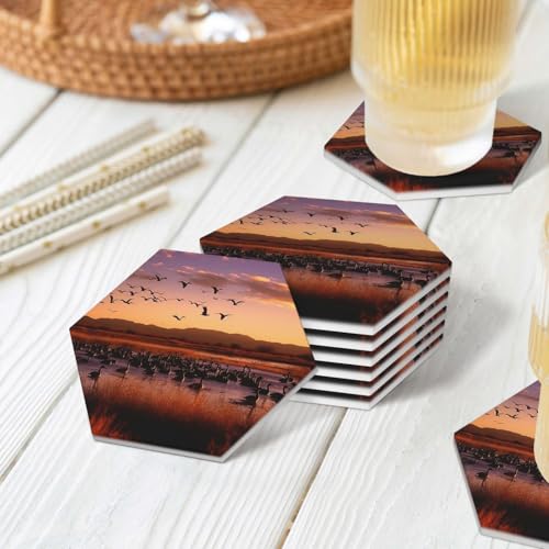 Dessous de verre céramique Bosque del Apache lot de 6 haute qualité - 8