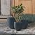 Kante 20",16.5",13.4" Dia Round Concrete Planters (Set of 3), Outdoor Indoor Modern Decorative Plant Pots with Drainage Hole & Rubber Plug for Home & Garden, Charcoal