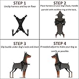 Musonic No Pull Dog Harness Breathable Adjustable Comfort Free Lead Included for Small Medium Large Dog Best for Training Walking M Pink - Image 6