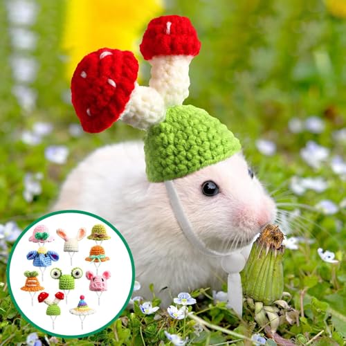 Cappello da criceto lavorato a maglia,Fornitura di...