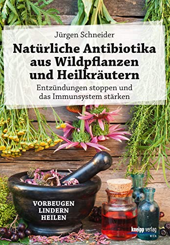 Preisvergleich Produktbild Natürliche Antibiotika aus Wildpflanzen und Heilkräutern: Entzündungen stoppen und das Immunsystem stärken