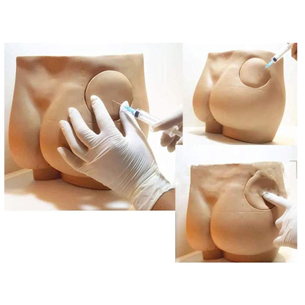 Sjdopulse Hip Muscle Training Model, Hip Training Simulator, Anatomical Model Used By Nurses And Medical Students For Hip Muscle Training