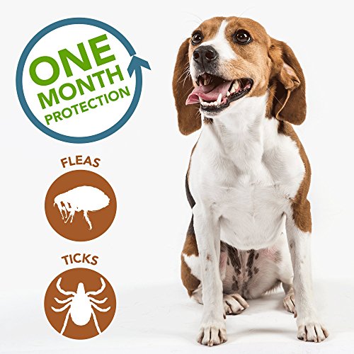 Vet's Best Flea and Tick Spot-on Drops | Topical Flea Treatment Drops for Dogs | Flea killer with Certified Natural Oils… - Image 6