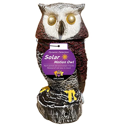 Owlsome Solar Red Owl with Flashing Eyes Rotating Head Hooting Motion Detector and Silent Mode Plastic Owl Garden Sculpture Garden Decoration