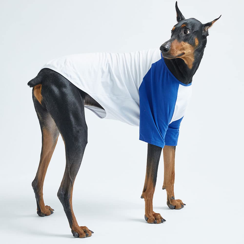 Ropa para mascotas para perro gato cachorro raglán camisetas duraderas y elásticas para perros (4XL, blanco/azul)