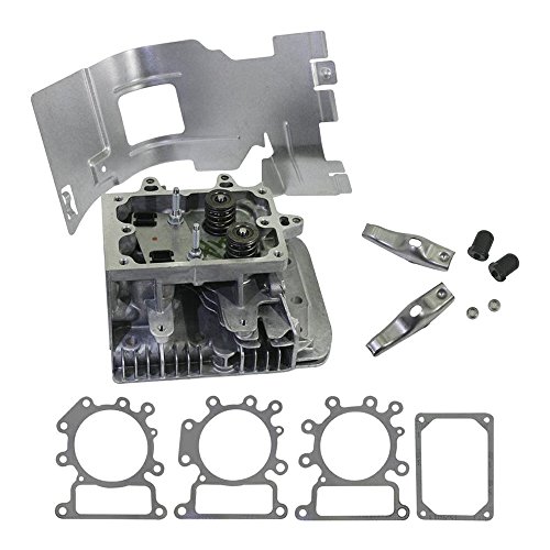 Preisvergleich Produktbild tecnogarden Kopf CPL Ex 691165 698148 Briggs & Stratton -796026