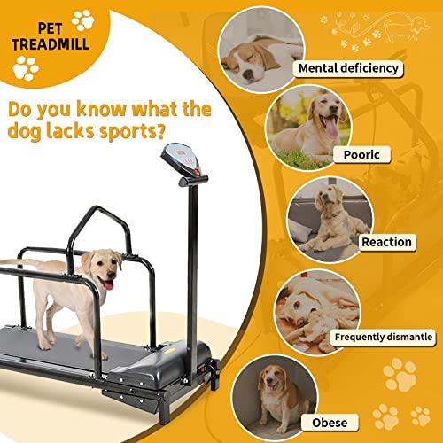 Hunde-Laufband - Indoor-Laufmaschine für große, mittelgroße und kleine Hunde - Haustier-Trainingsgeräte für den Heimgebrauch