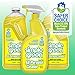 Simple Green All Purpose Cleaner Spray and Refill, Green, 3 Piece Set, 1 Count (Lemon)